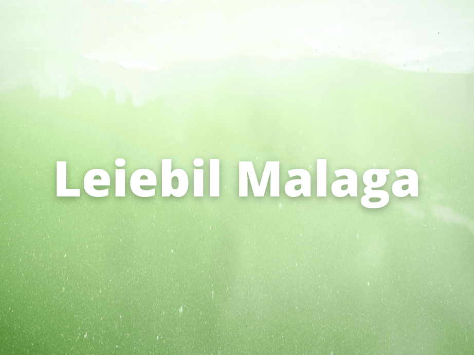 Leiebil Malaga